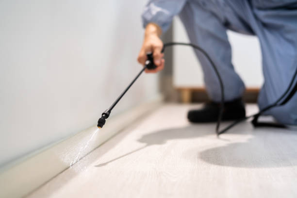 Licensed Termite Control service in Basile, LA - Nex Pest Control