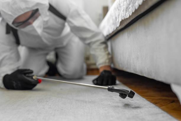 Professional Termite Control technician working in Basile, LA