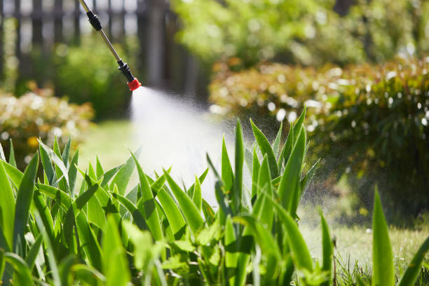 24/7 Emergency Termite Control experts in Basile, LA