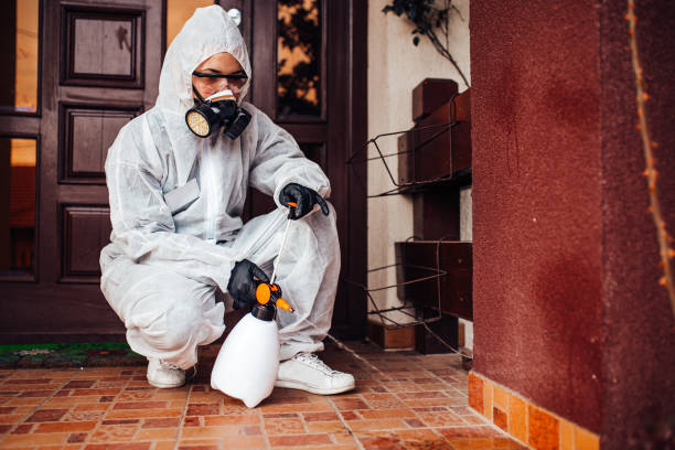 Reliable Termite Control contractor in Basile, LA by Nex Pest Control