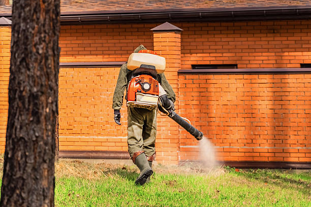 Top rated local Termite Control specialists in Basile, LA